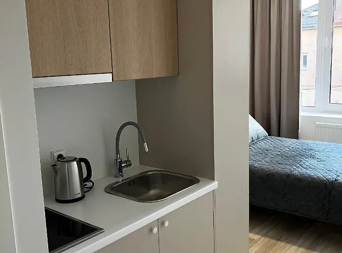 Apartman Ingos Laisves Al. Apartamentai